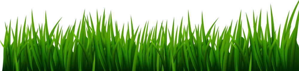 Grass Sod
