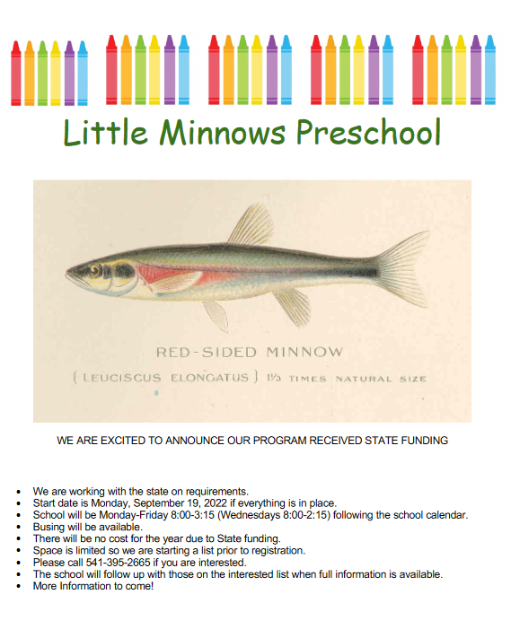Little Minnows Preschool