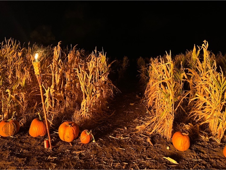 haunted corn maze